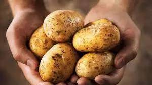 Patates Deyip Geçmeyin! Bu Hatalarla Patates Yerken Zehirlenebilirsiniz! 4